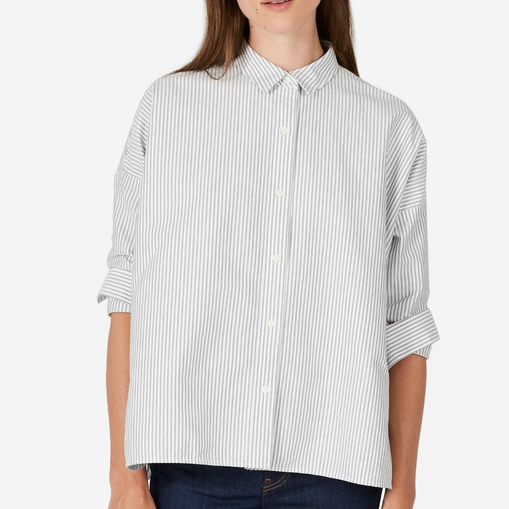 Everlane Japanese Oxford Square Shirt Striped 0